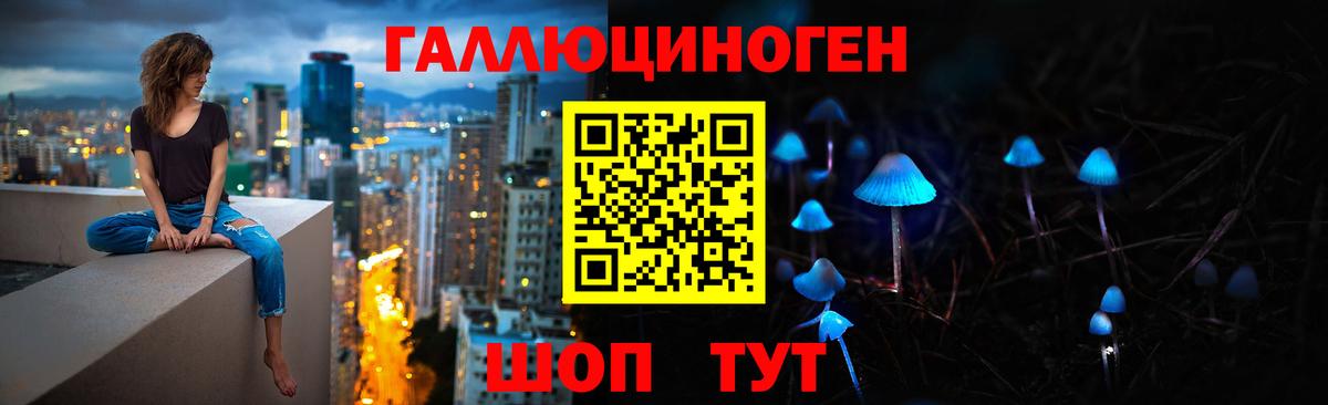 Псилоцибиновые грибы прущие грибы  Вход с VPN  Железногорск  Галлюциногенные грибы мицелий 